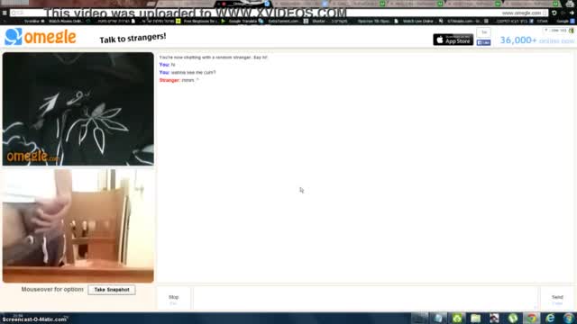 My omegle2